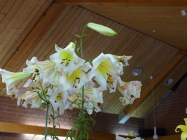 Foto: Dr. Peter Müller